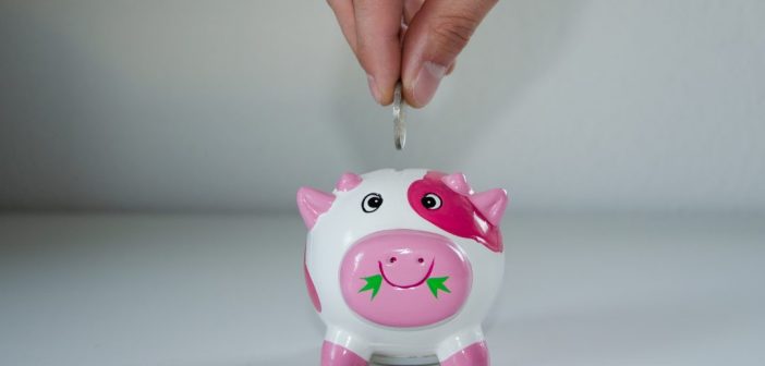 Budget Reveals Savings Slump Budget Reveals Savings Slump