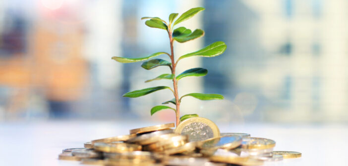 Compound Interest Guide Plant growing out of pile of coins